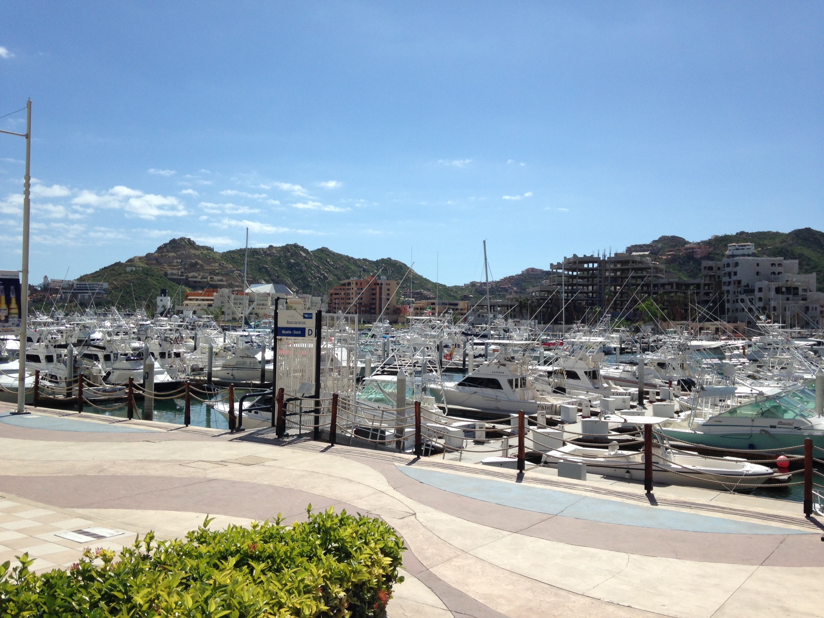 Cabo marina ready for tournament season after Odile